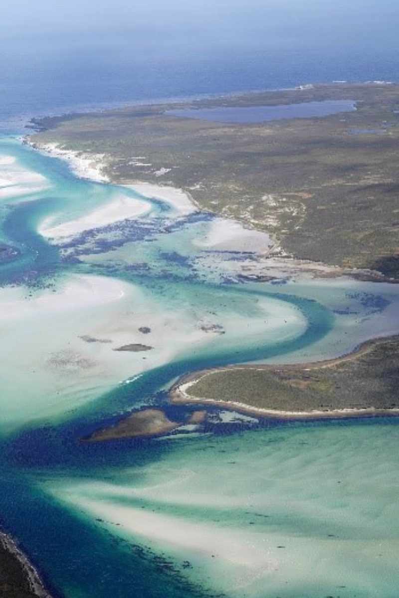 reset password image